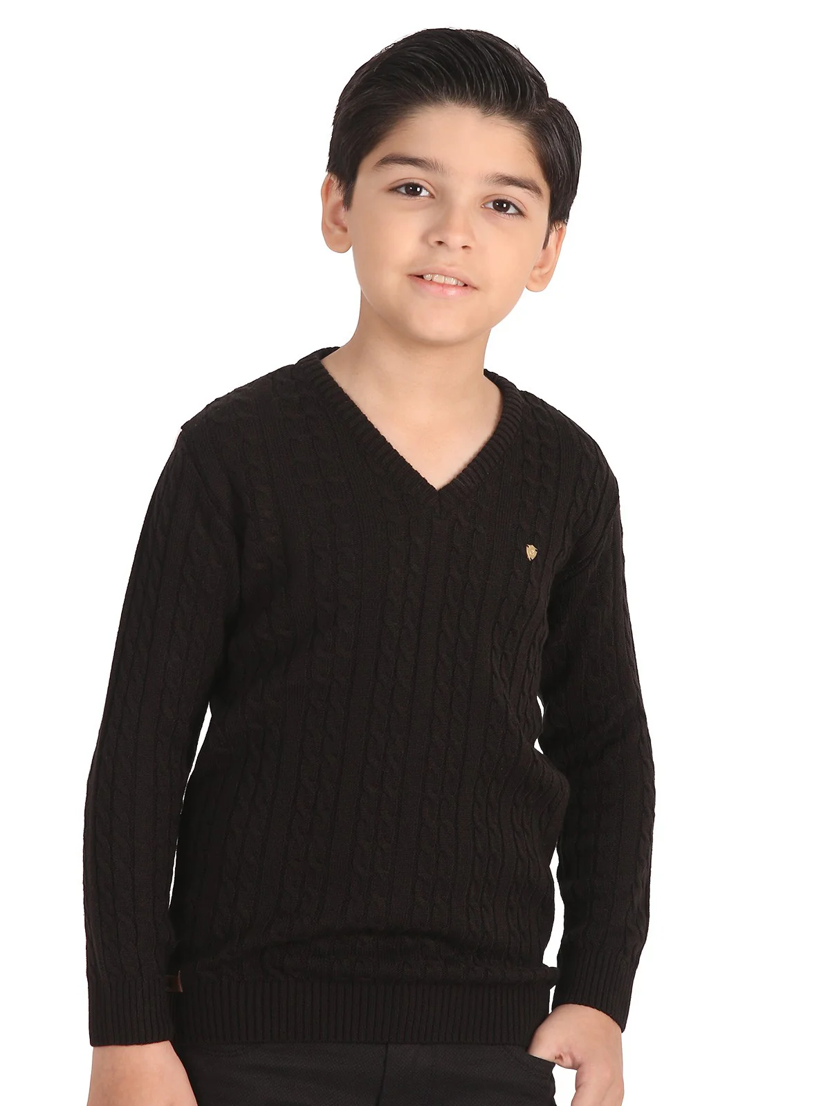 V-Neck Cable Knit Sweater - EBTSWT19-006